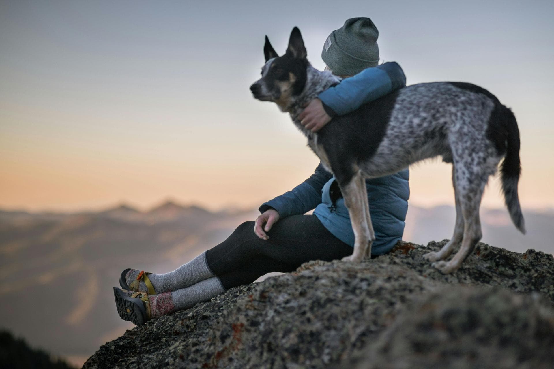 Best Vets in Chichester